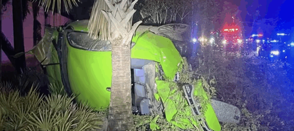 Wrecked green Dodge Charger flipped on its side after high-speed crash on I-75 in Hillsborough County, showing severe damage among trees at night with emergency lights in the background.